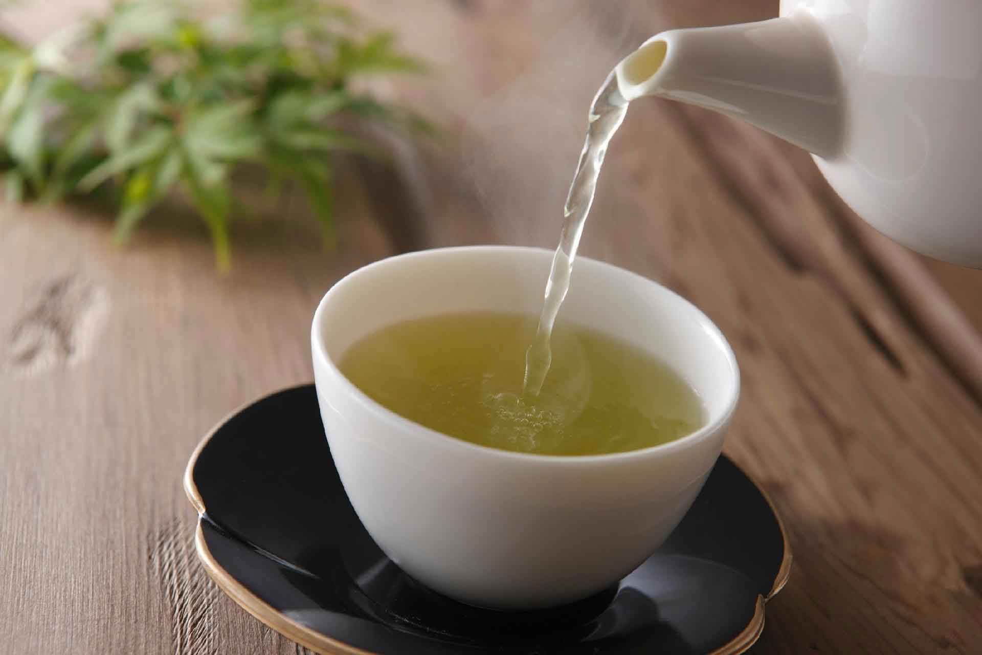 Benefícios chá verde