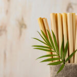 Fibra de Bambu: Entenda o que é esse aditivo que está sendo muito utilizado na indústria alimentícia.